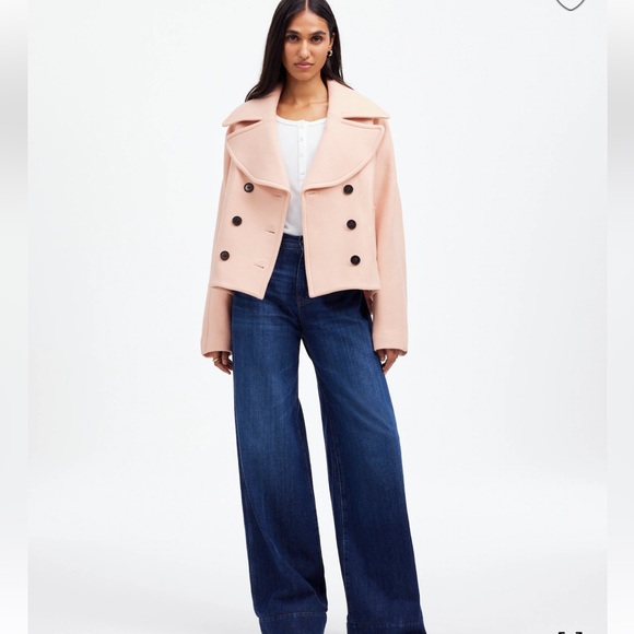Madewell Jackets & Blazers - Madewell Oversized Collar Wool Pink Pea Coat